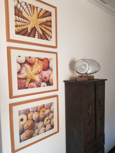 Deluxe B&B "villa Alegria", Tarrafal