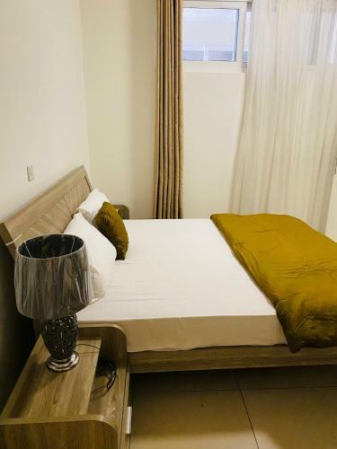 Dr Sarfo Two Bedroom Apartment Cantonments