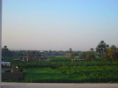 Moon Valley Apartments