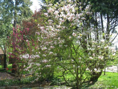 Bed & Breakfast Le Domaine De Pasiphae
