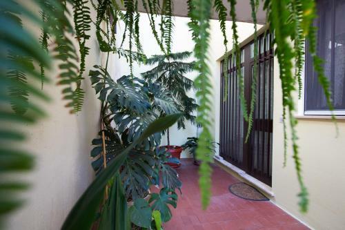Hostal Apartment Love And Hope
