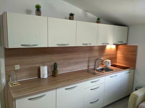 Apartmani Veki