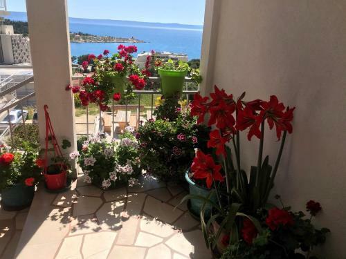 Adriatic Apartment Makarska
