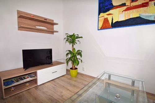 Apartment Nerea