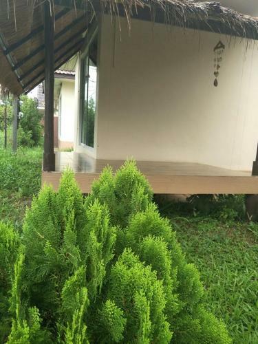 Hostal Suwi Coco Ville Resort