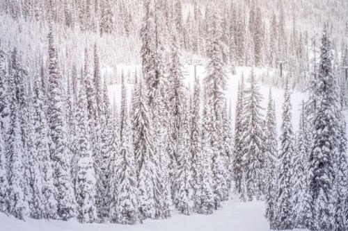 Shadow Mountain 10