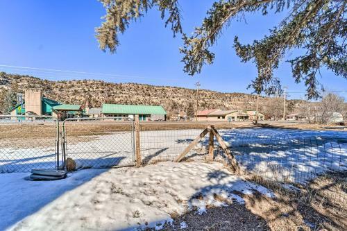 Updated Home With Yard, Walk To Dolores River!