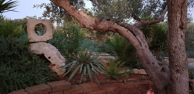 Bed & Breakfast Il Trulletto