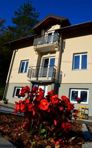 Hostal Apartmani Zagi