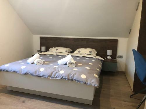 Apartmani Izvor - Tuheljske Toplice