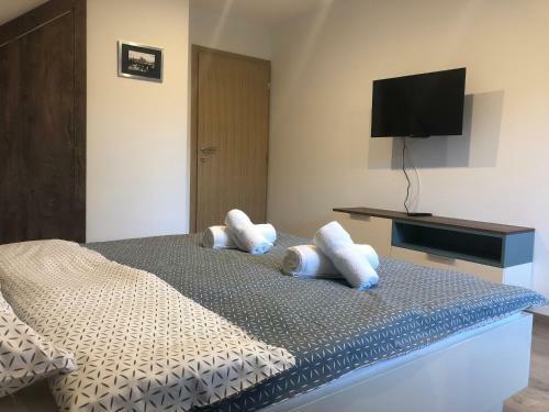 Apartmani Izvor - Tuheljske Toplice