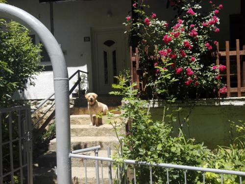 Hostal House By The River
