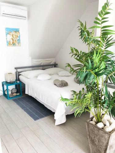 Apartment Marina