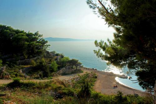 Apartamentos Villa Nika