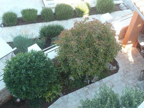 Apartments Villa Martina