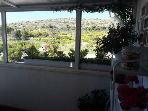 Apartment Top View