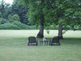 Hostal Ch�teau Des Salles
