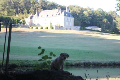 Hostal Ch�teau D'hodebert