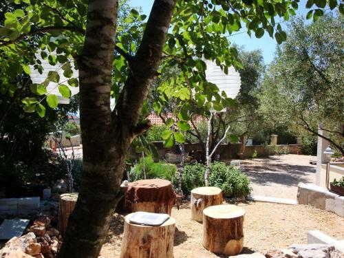 Apartments Olea