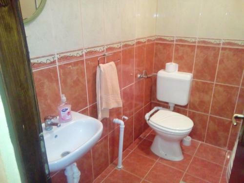 Apartment Anita Brodarica