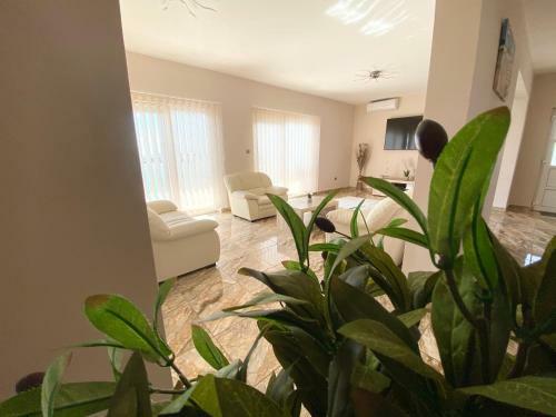 Apartman ?ombor
