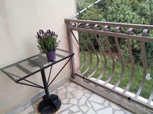 Apartment Vilma