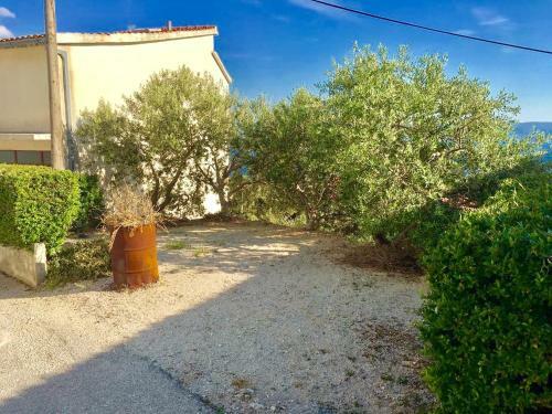 Apartment Martinovic