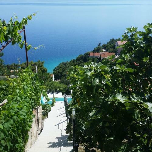 Waterview Apartments (Tui Apartment)