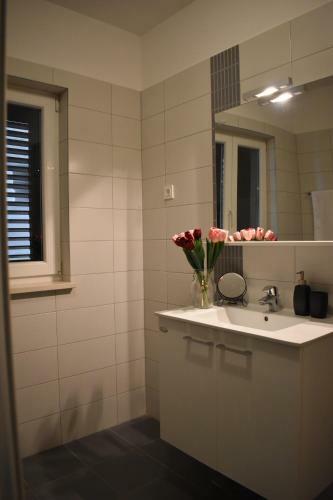 Apartments Villa Carica B&B