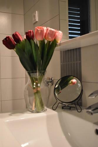 Apartments Villa Carica B&B