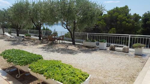 Hostal Apartments ?ara