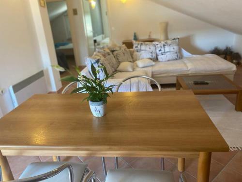 Casa Fumica Apartment