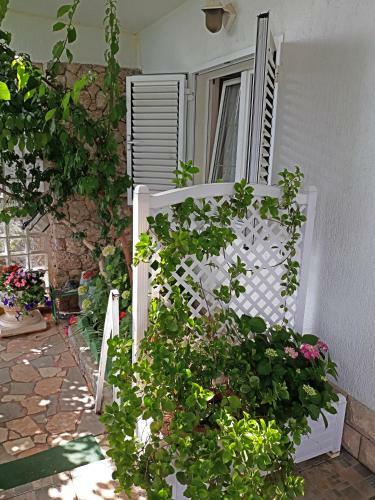 Beautiful Apartment Duska On The Beach