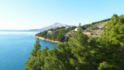 Beach State Of Art, Balica Rat