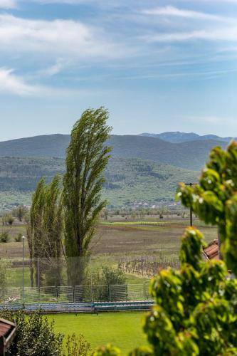 Dovica Holiday Home Imotski