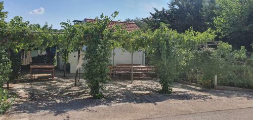 Apartamento Holidey Home Juki?