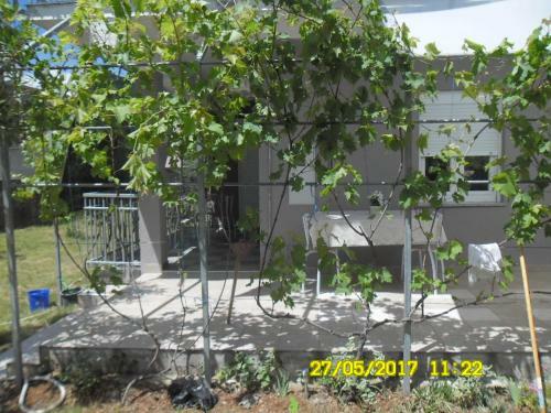 Apartmani Gavran