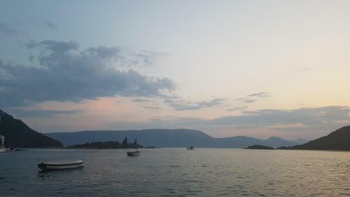 Apartman Ozana