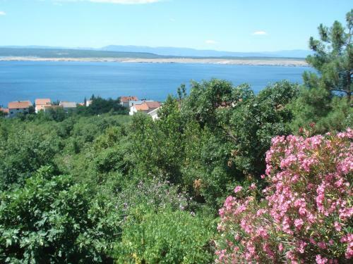 Apartmani E&g