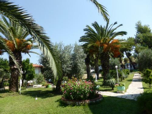 Aparthotel Olympic Bibis Hotel