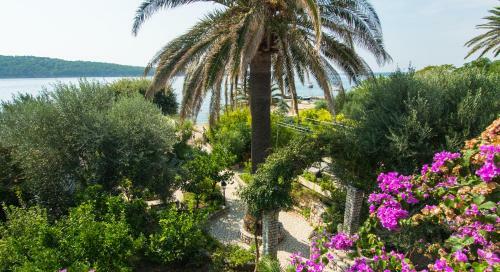 Apartments Picolo Paradiso Miljenko Debeli?