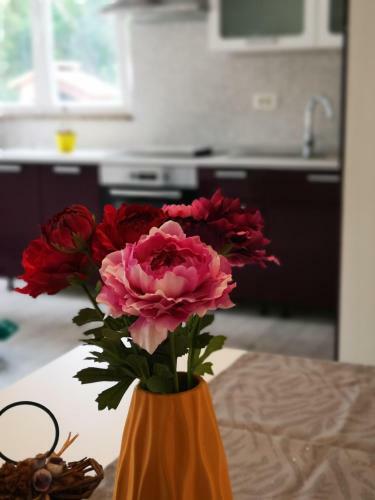 Apartmani "sandro" Gonar