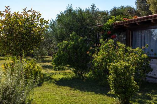 Villa Oliva