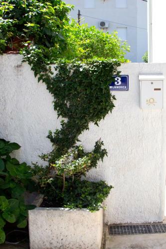 Apartman Topic