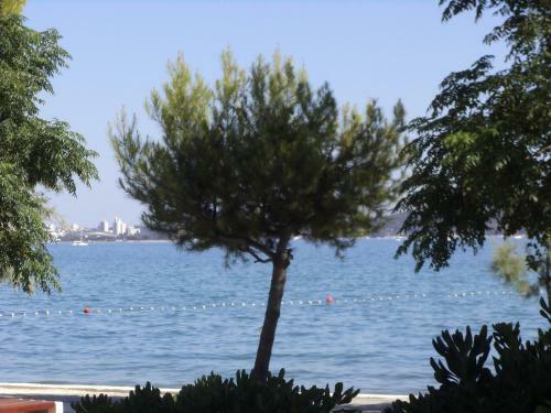 Apartamentos Penthouse - Sea View