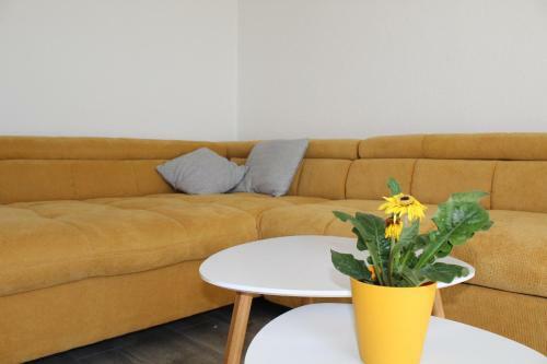 Apartamento Cvita