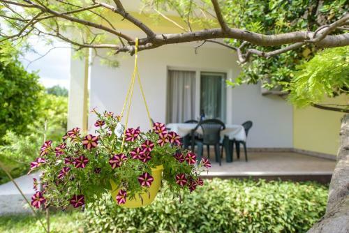 Apartmani Ivana