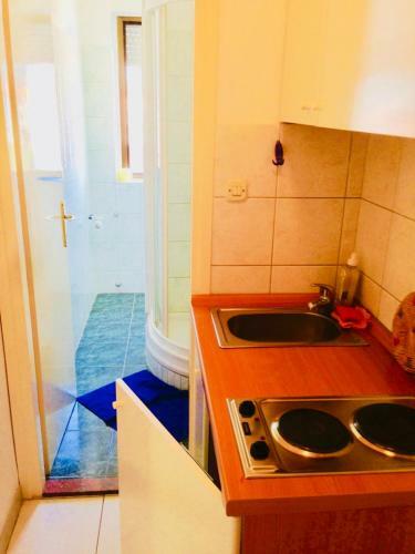 Apartments Ruza