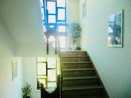 Apartments Ruza