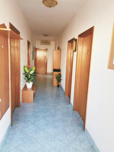 Luxury Apartment Duje
